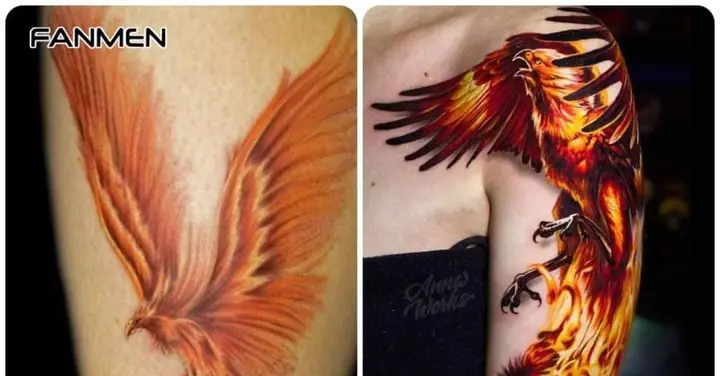Nên Lưu Ý Điều Gì Khi Xăm Hình Xăm Phượng Hoàng? Nên Lưu Ý Điều Gì Khi Xăm Hình Xăm Phượng Hoàng?