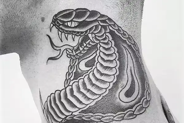 Hình Xăm Rắn Hổ Mang Hình Xăm Rắn Hổ Mang
