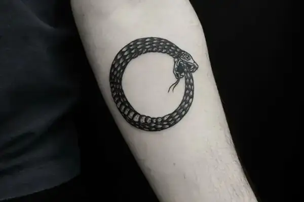 Rắn Cắn Đuôi (ouroboros): Luân Hồi Và Sự Vĩnh Cửu