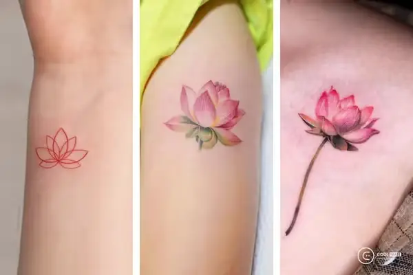 Hình Xăm Hoa Sen Vừa Đơn Giản Nhưng Rất Ý Nghĩa Dành Cho Người Mệnh Thổ