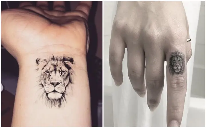 Hình Ảnh Cho Hình Xăm Sư Tử Mini Cute: Hình Ảnh Cho Hình Xăm Sư Tử Mini Cute: