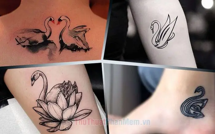 Tổng Hợp Những Mẫu Hình Xăm Thiên Nga Ấn Tượng Và Đầy Nghệ Thuật