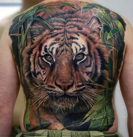 Hình Xăm Hổ Trong Rừng