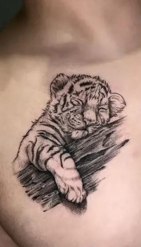Hình Xăm Hổ Cute