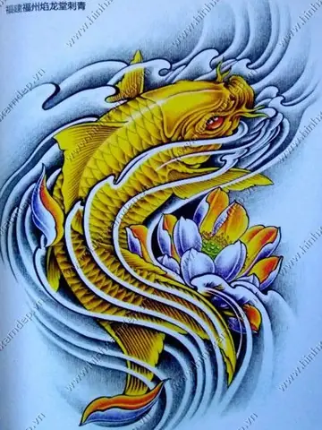 Hình Ảnh Cho Những Hình Xăm Cá Chép Hóa Rồng Đẹp Nhất: