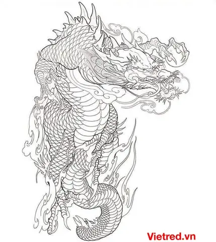 Ý Nghĩa Hình Xăm Rồng Ở Tay Của Nhật Bản