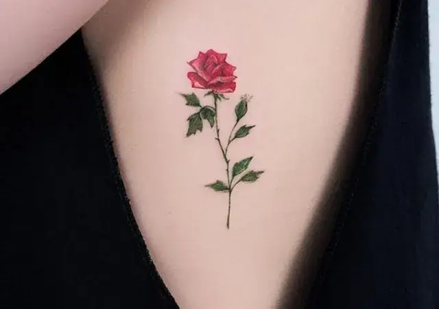 Hình Xăm Hoa Hồng Nhỏ Hình Xăm Hoa Hồng Nhỏ