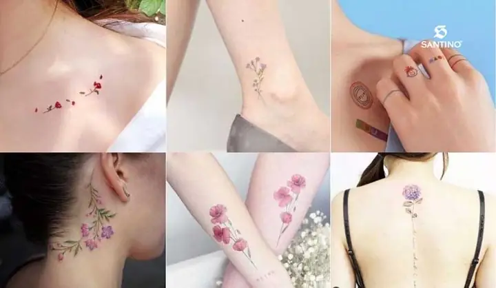 Hình Xăm Phong Thủy Cho Nữ Hình Xăm Phong Thủy Cho Nữ