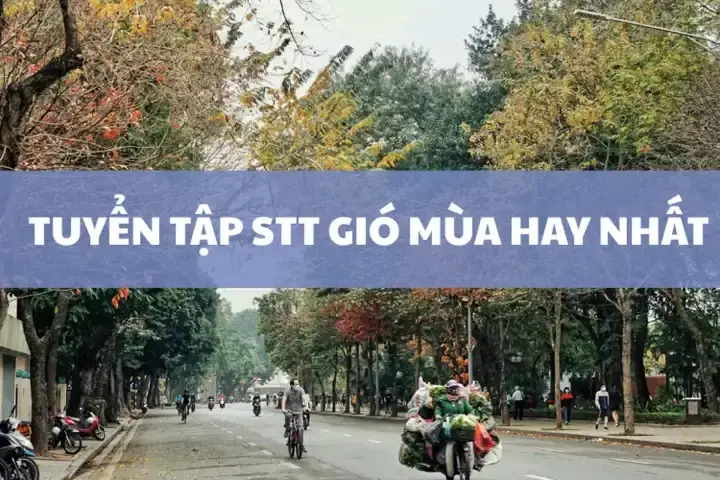 Bài Viết Liên Quan