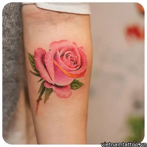 Những Vị Trí Nào Để Xăm Hình Hoa Hồng