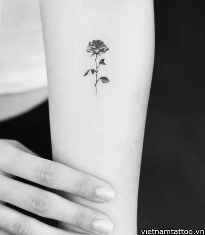 Những Vị Trí Nào Để Xăm Hình Hoa Hồng