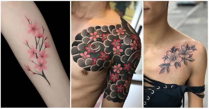 Hình Xăm Hoa Anh Đào Nhật Cổ Mini