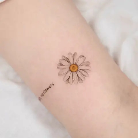Cã¡c Máº«u Xäm Mini Thiãªn Nhiãªn