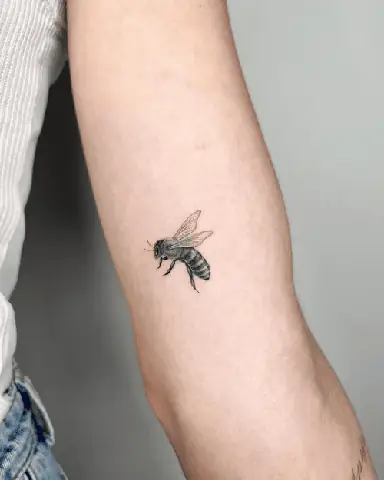 Máº«u Xäm Mini Báº¯p Tay Äá»c Äã¡o