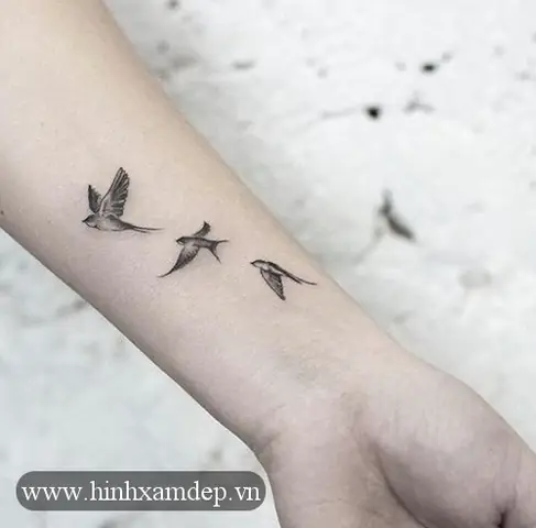 Vá» Trã­ Lã½ Tæ°á»ng Cho Cã¡c Máº«u Hã¬nh Xäm Á» Báº¯p Tay Ná»¯ Mini