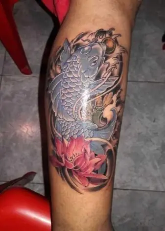 Tùy Chọn Phác Thảo