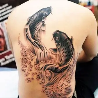 Tùy Chọn Phác Thảo
