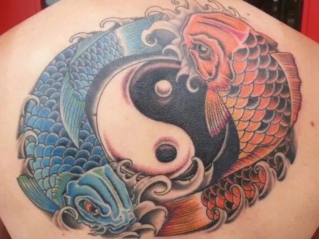 Tùy Chọn Phác Thảo