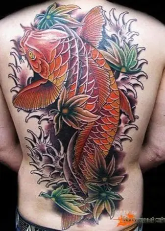 Tùy Chọn Phác Thảo