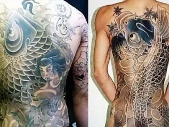 Tùy Chọn Phác Thảo