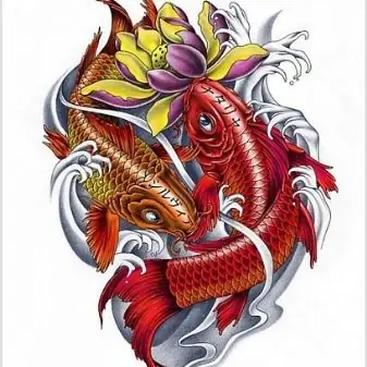 Tùy Chọn Phác Thảo