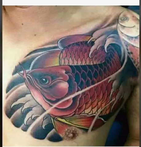 Phong Cách Graphic Và Trừu Tượng