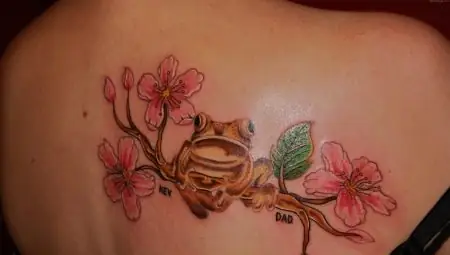 Ý Nghĩa Của Một Hình Xăm Dưới Dạng Một Con Ếch Và Các Tùy Chọn Để Thực Hiện Nó Ý Nghĩa Của Một Hình Xăm Dưới Dạng Một Con Ếch Và Các Tùy Chọn Để Thực Hiện Nó