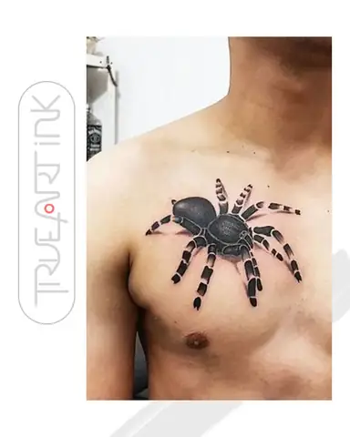 Ã Nghä¨a Cá»¦a Hãnh Xäm Con Nhá»n