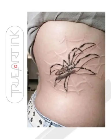 Ã Nghä¨a Cá»¦a Hãnh Xäm Con Nhá»n