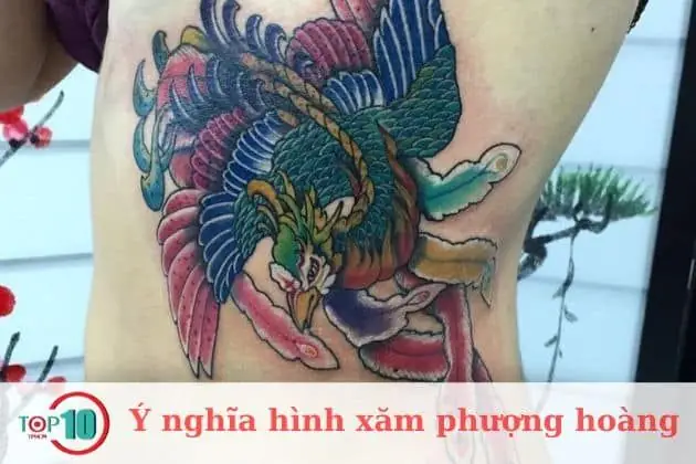 Hình Xăm Phượng Hoàng Hình Xăm Phượng Hoàng