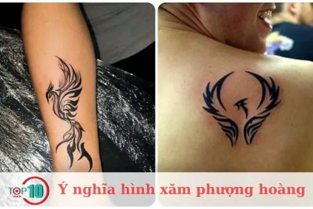 Hình Xăm Phượng Hoàng Hình Xăm Phượng Hoàng