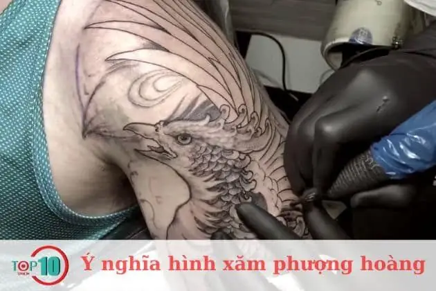 Hình Xăm Phượng Hoàng Hình Xăm Phượng Hoàng