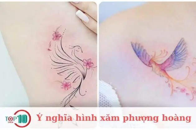 Hình Xăm Phượng Hoàng Hình Xăm Phượng Hoàng