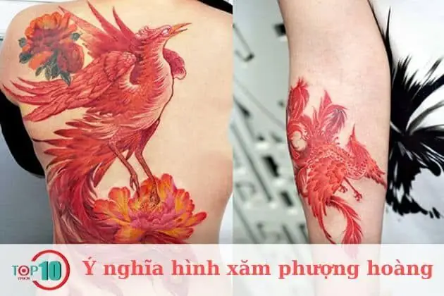 Hình Xăm Phượng Hoàng Hình Xăm Phượng Hoàng