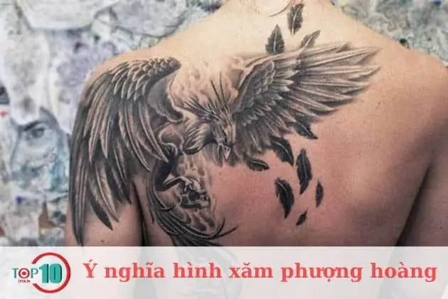 Hình Xăm Phượng Hoàng Hình Xăm Phượng Hoàng