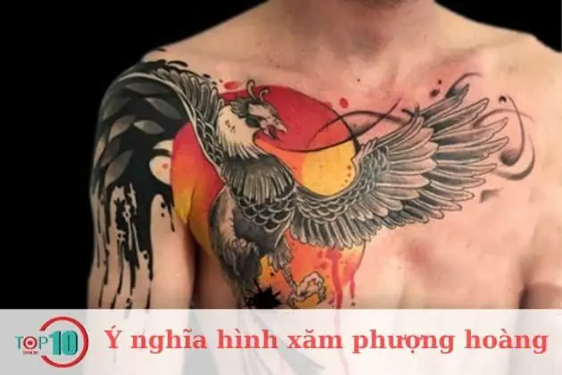 Hình Xăm Phượng Hoàng Hình Xăm Phượng Hoàng