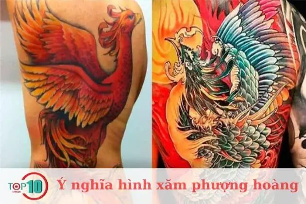 Hình Xăm Phượng Hoàng Hình Xăm Phượng Hoàng