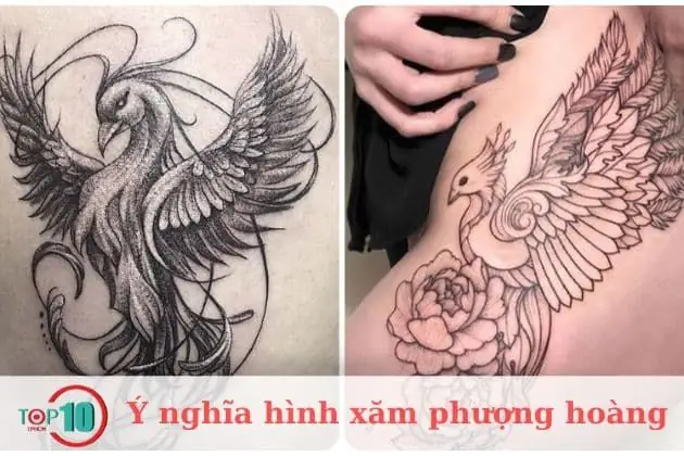 Hình Xăm Phượng Hoàng Hình Xăm Phượng Hoàng