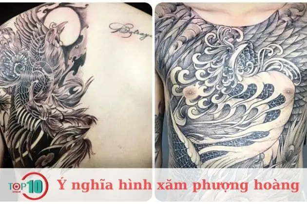 Hình Xăm Phượng Hoàng Hình Xăm Phượng Hoàng