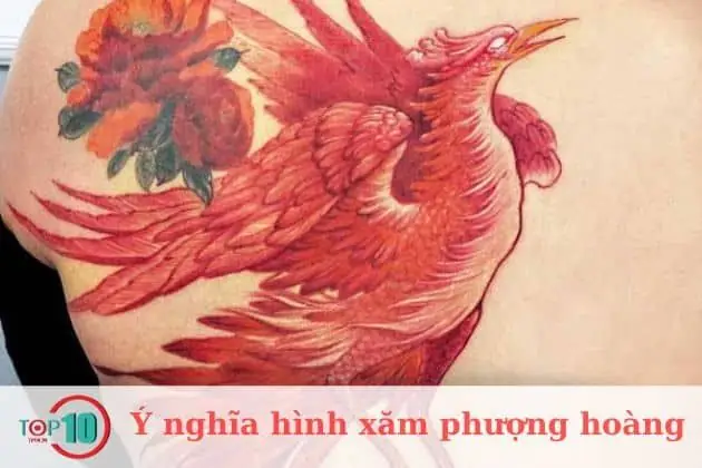 Hình Xăm Phượng Hoàng Hình Xăm Phượng Hoàng