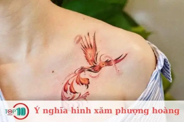 Hình Xăm Phượng Hoàng Hình Xăm Phượng Hoàng