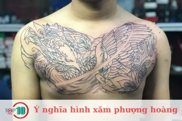 Hình Xăm Phượng Hoàng Hình Xăm Phượng Hoàng
