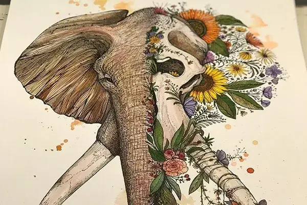 Hình Xăm Con Voi Và Đầu Lâu