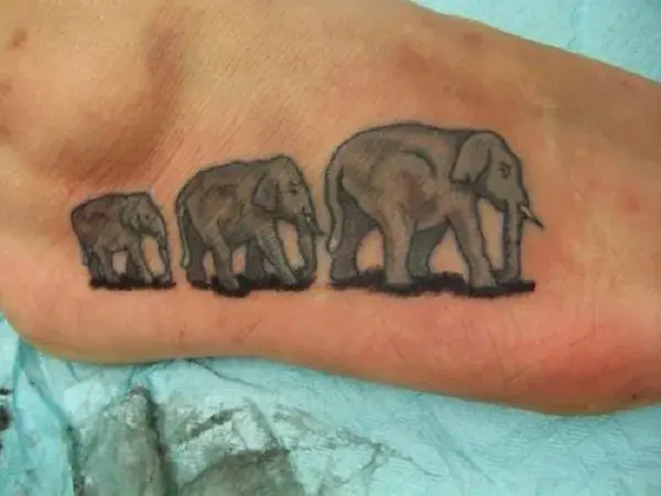 Tattoo Gia Đình Voi