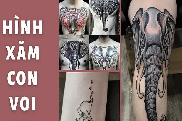 Giải Mã Ý Nghĩa Sâu Xa Của Hình Xăm Voi Thần