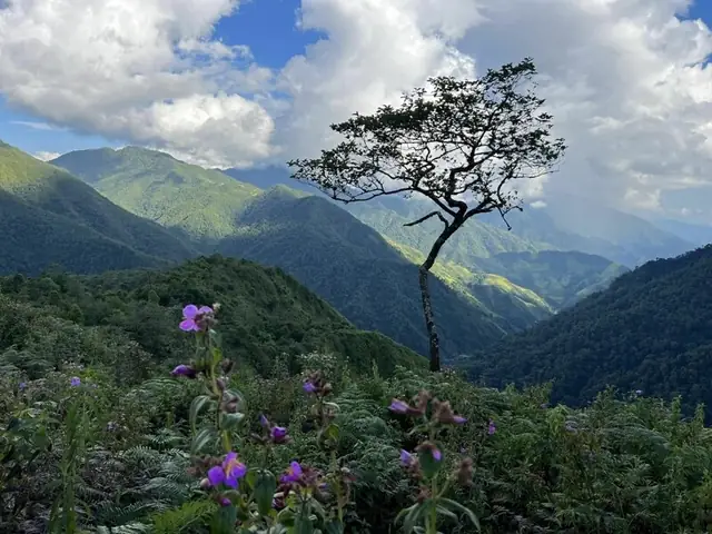 Ý Nghĩa Hình Xăm 3 Ngọn Núi Ý Nghĩa Hình Xăm 3 Ngọn Núi