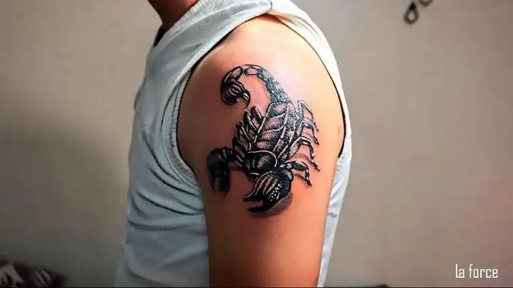 Hình Xăm Bọ Cạp 3d