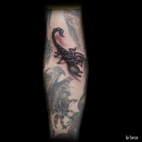 Hình Xăm Bọ Cạp 3d