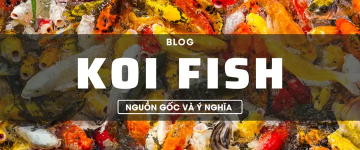 Ý Nghĩa Hình Xăm Cá Koi