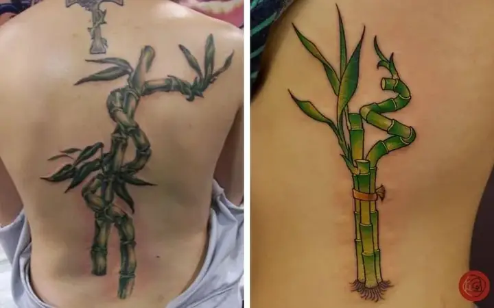 Ý Tưởng Thiết Kế Hình Xăm Cây Trúc Độc Đáo